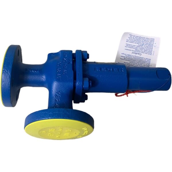 Leser Relief Valve 4332.4152