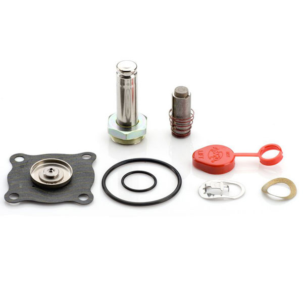 Asco Rebuild Kit 302929