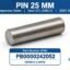 pin-pb0000242052-siemens-lm-fm.jpg