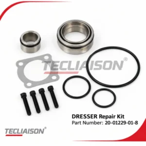 DRESSER repair kit 20-01229-01-8