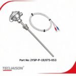 EIPSA RTD PT100 Sensor with 500 MM sheath and SS 316 material