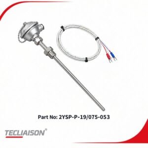 EIPSA RTD PT100 Sensor with 500 MM sheath and SS 316 material