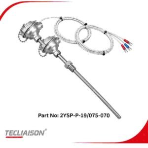 EIPSA RTD PT100 Sensor with 550 MM sheath and SS 316 material