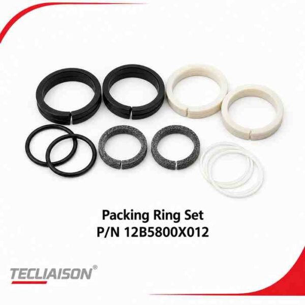 Packing ring set, part number 12B5800X012