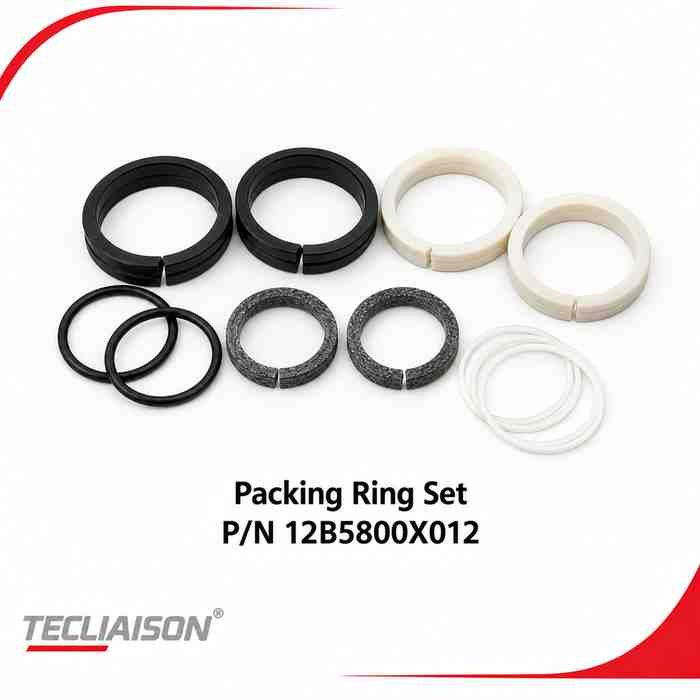 Packing ring set, part number 12B5800X012