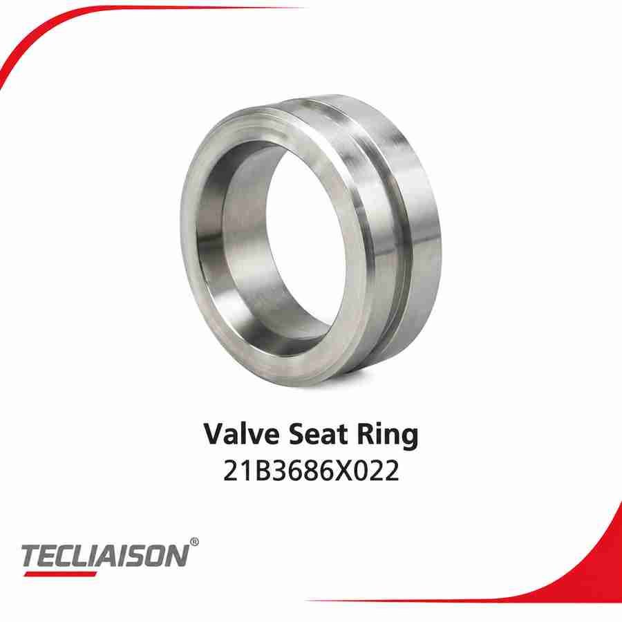 Valve Seat Ring with part number 21B3686X022