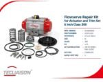 Flowserve actuator and trim set repair kit, serial number 820751001, 6 inch Class 300
