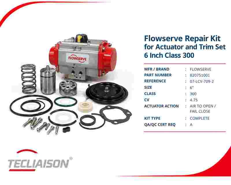 Flowserve actuator and trim set repair kit, serial number 820751001, 6 inch Class 300