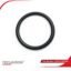 Flowserve O-ring part number 079581.C2M.000