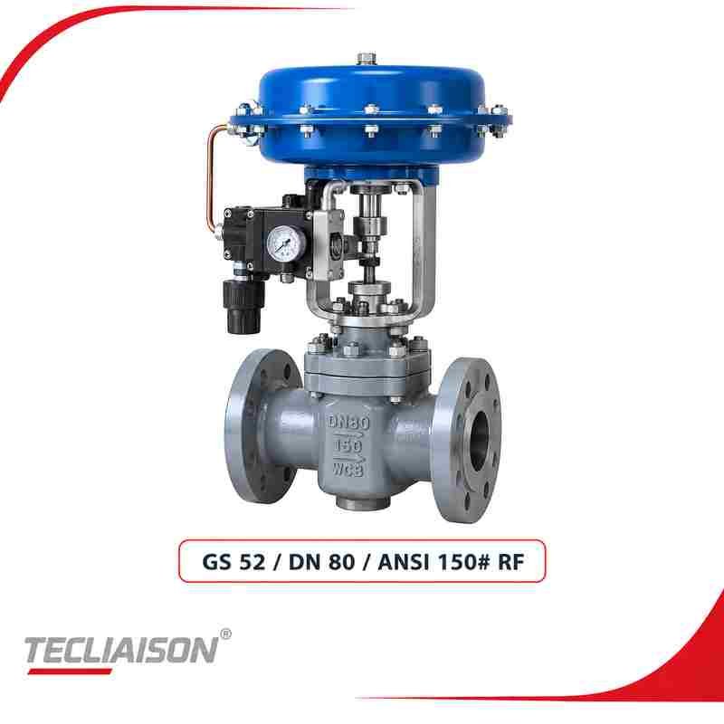 GLASSI & ORTOLANI GS 52 pneumatic control diaphragm membrane valve, DN 80