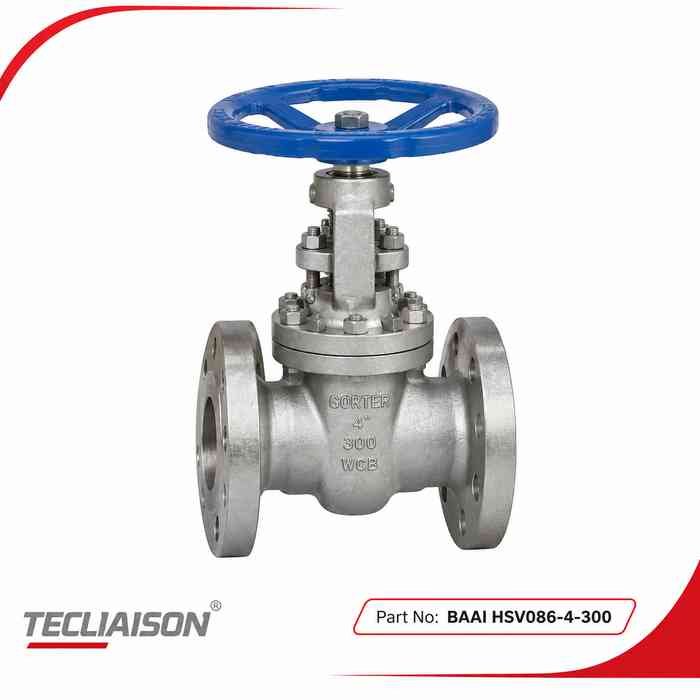 GORTER Shut-Off Valve BAAI HSV086-4-300