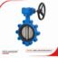 ORTON (IMI) 10-inch concentric rubber seated lug valve